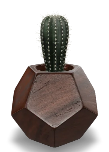 Geo Planter